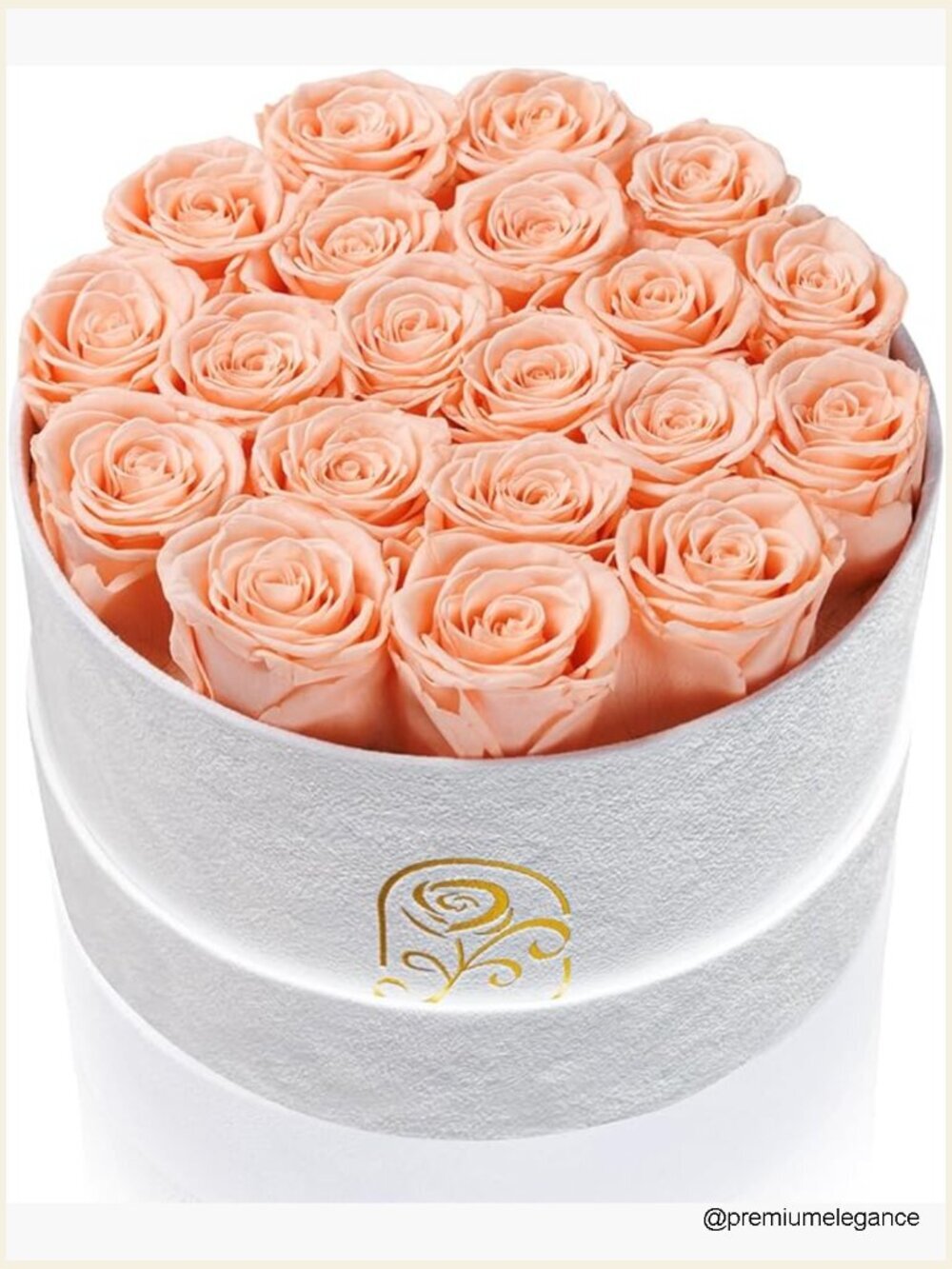 20 Real Preserved Roses Velvet Luxury Flower Box Gift for Her